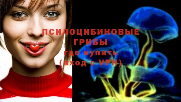 соль ск Надым