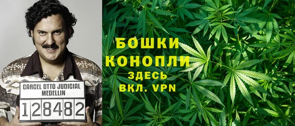 PSILOCYBIN Верхний Тагил