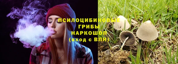 соль ск Надым