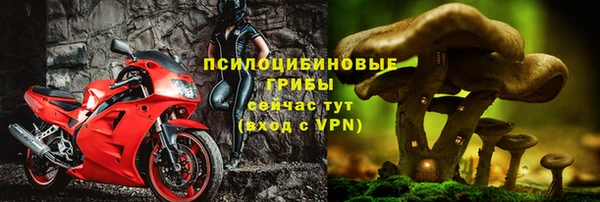 соль ск Надым