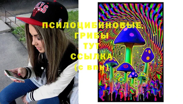 соль ск Надым