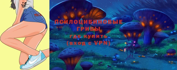 PSILOCYBIN Верхний Тагил